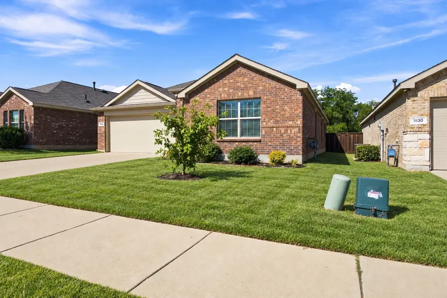 1810 Alamandine Avenue, Cross Roads, TX 76227 - #2