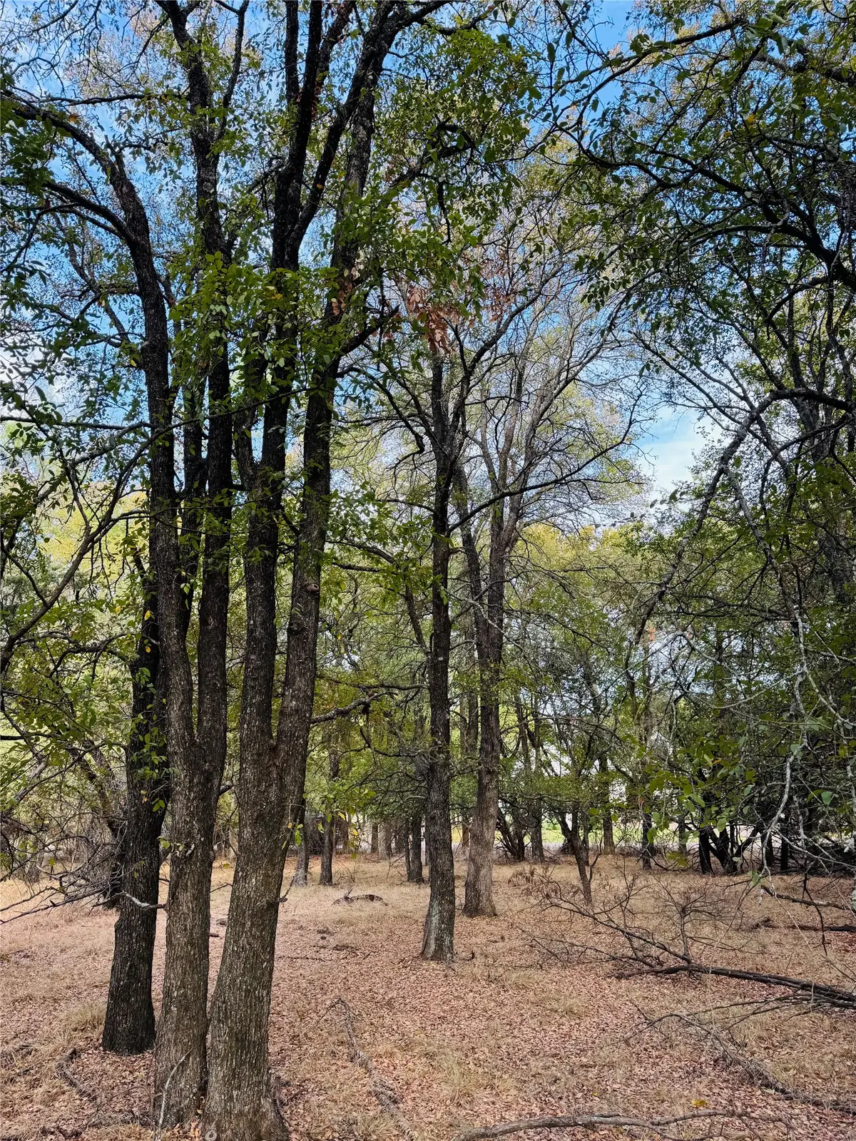 7103 Cedar Valley Drive, Whitney, TX 76692 - #1