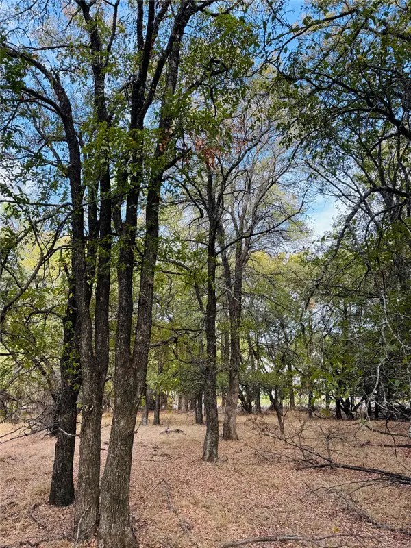 7103 Cedar Valley Drive, Whitney, TX 76692