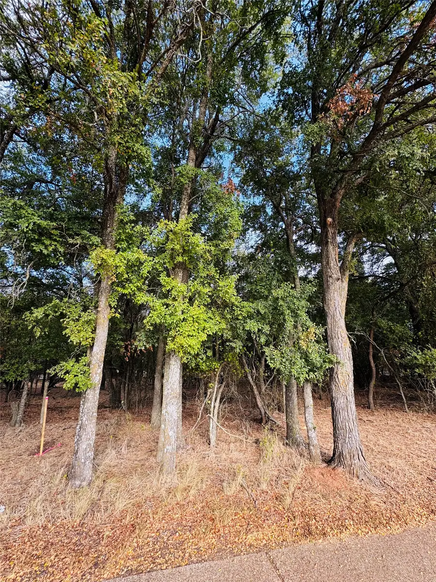 7103 Cedar Valley Drive, Whitney, TX 76692 - #2