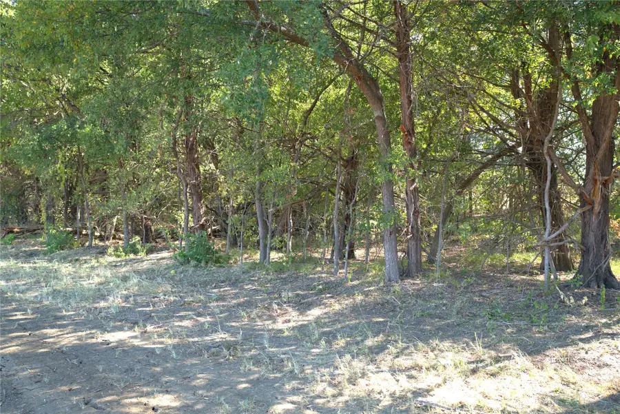 55 County Road 42351, Paris, TX 75462 - #2