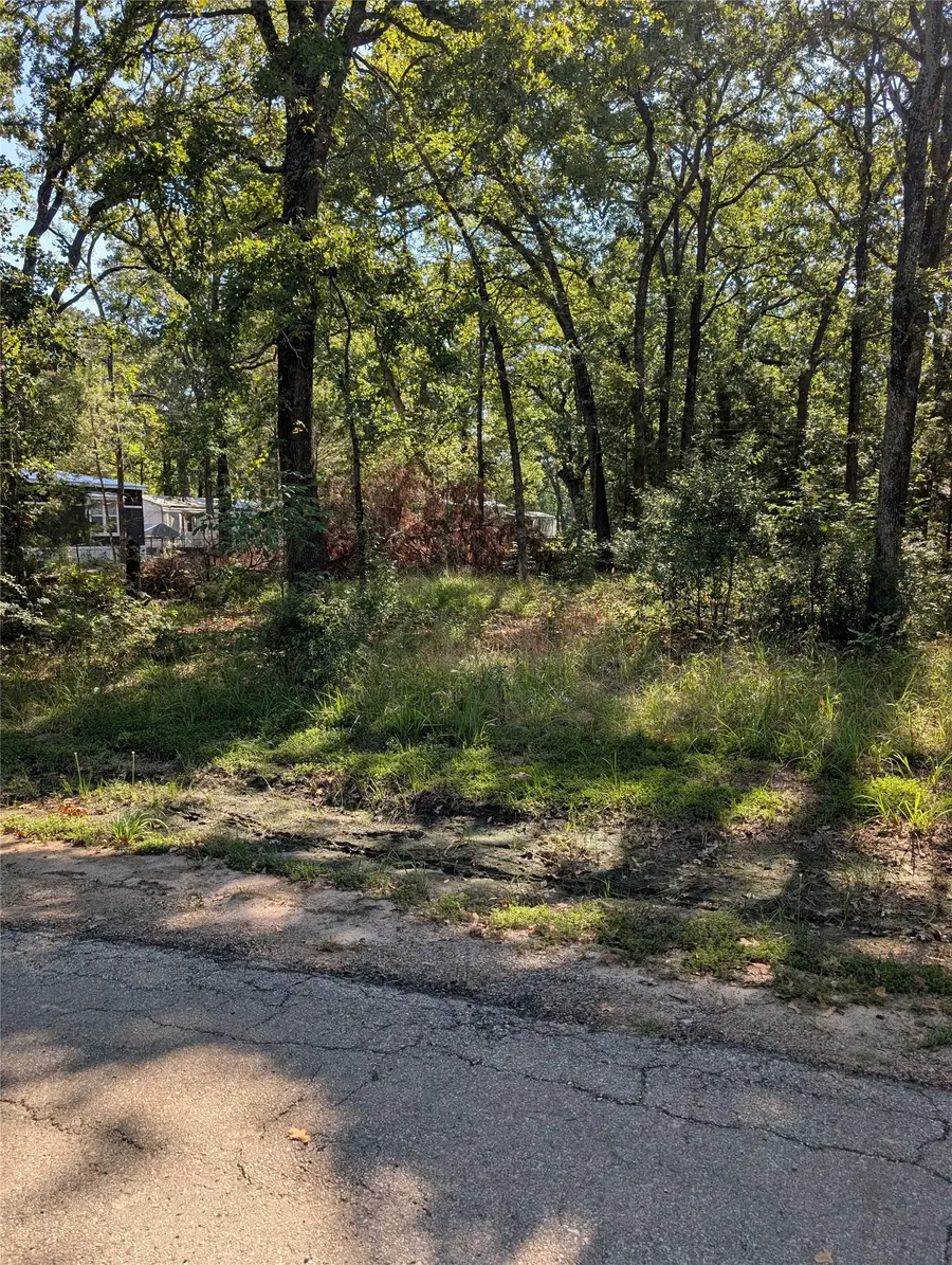 202 Chillacothe Trail, Mabank, TX 75156 - #2