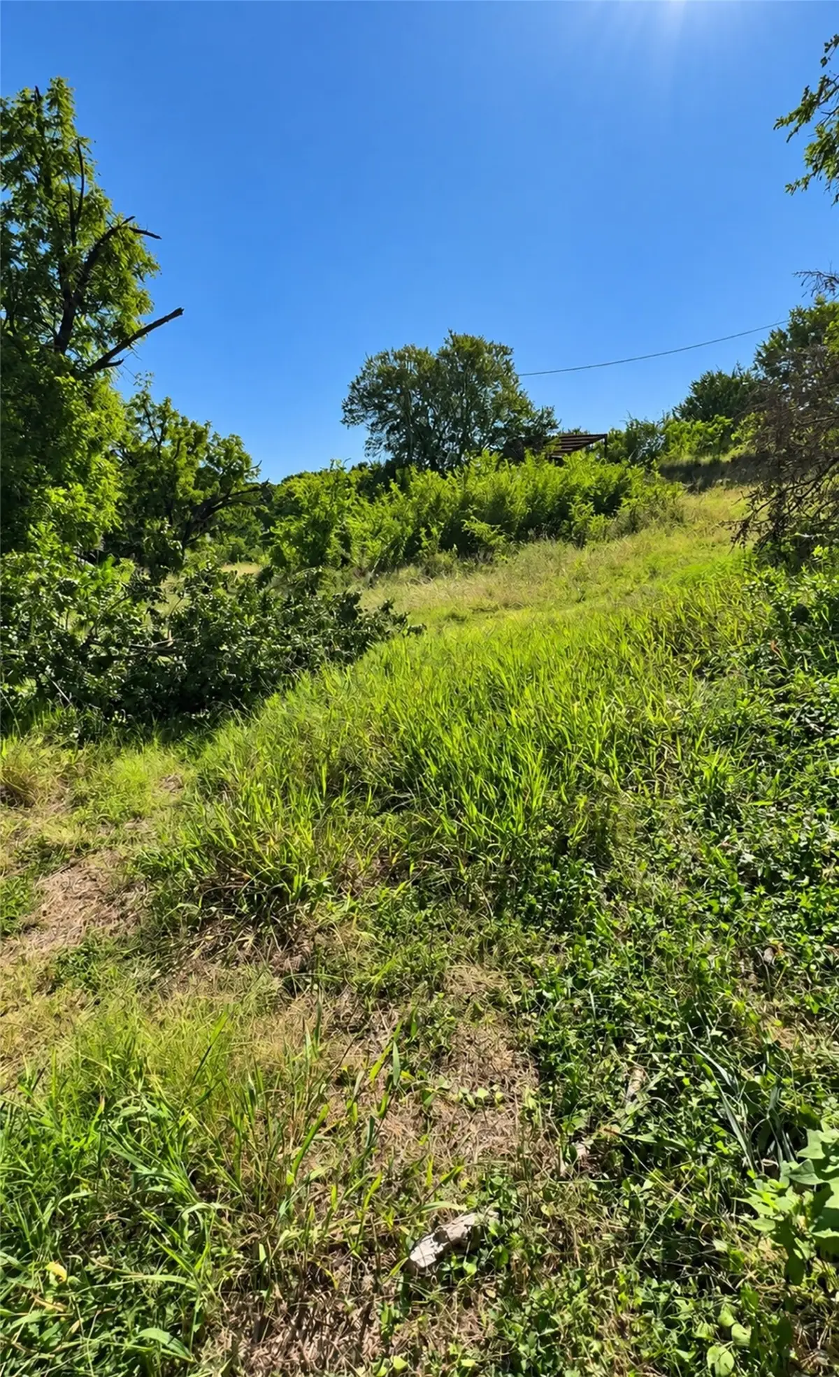 213 E Yucca, Weatherford, TX 76085 - #1