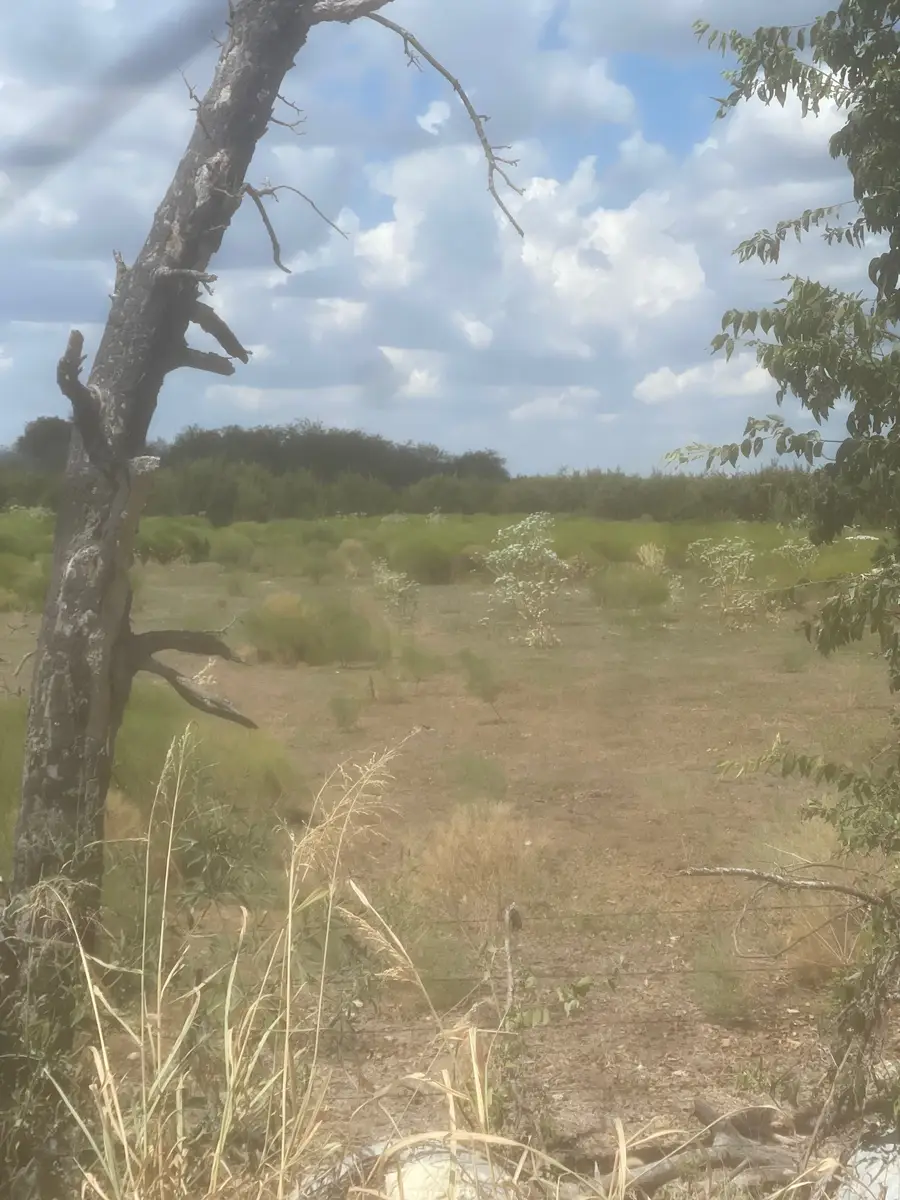 2473 Cr 199b, Iredell, TX 76649 - #2
