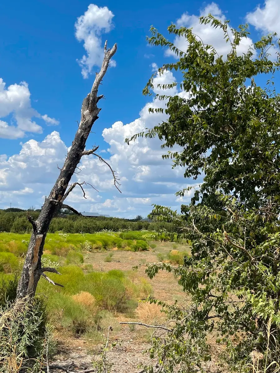 2473 Cr 199b, Iredell, TX 76649 - #3