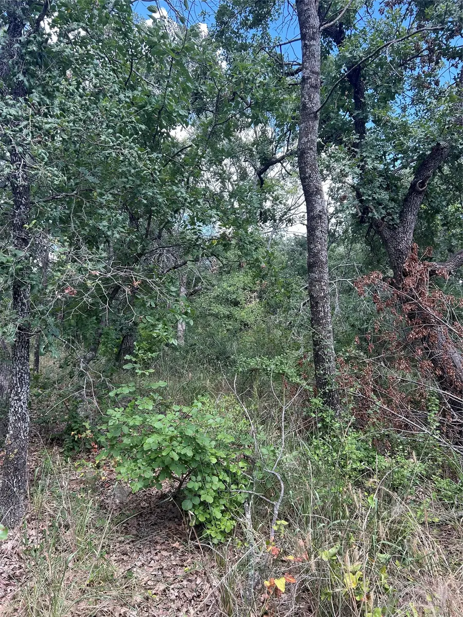 4 Haynie Drive, Runaway Bay, TX 76426 - #3