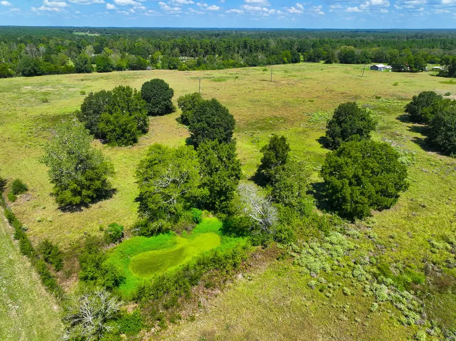 00 Cr 3620, Lovelady, TX 75851 - #3