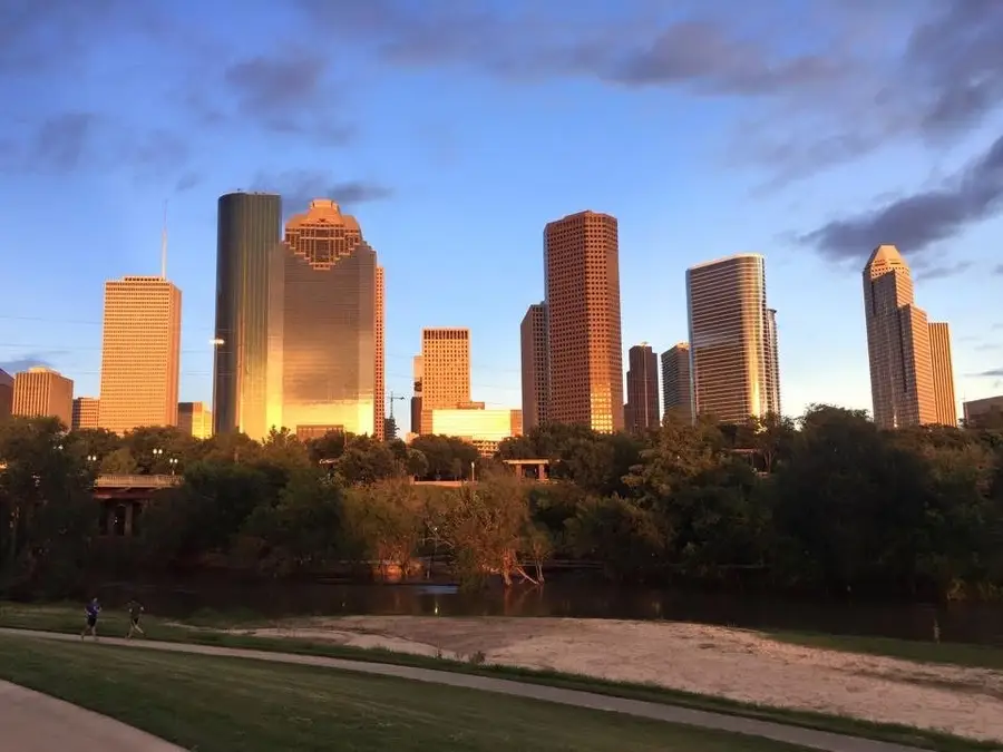 3311 Bremond Street, Houston, TX 77004 - #2