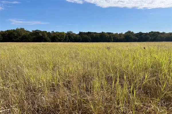TBD8 County Road 141, Callisburg, TX 76240