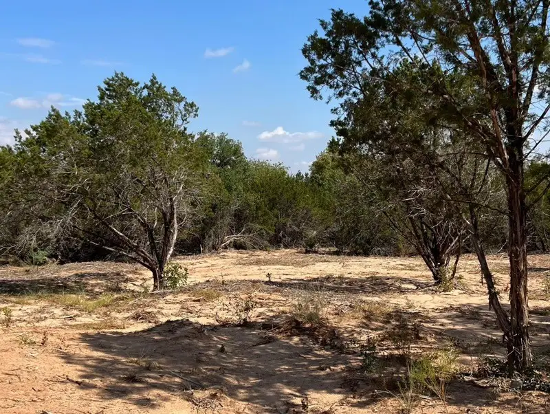 1024 Rose Court, Nemo, TX 76070 - #1