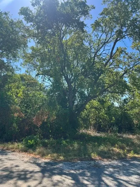 276 Castle Drive, Pottsboro, TX 75076 - #2