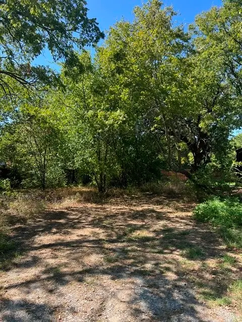 276 Castle Drive, Pottsboro, TX 75076 - #3