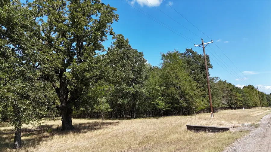 Lot 22 Loper Circle, Streetman, TX 75859 - #3