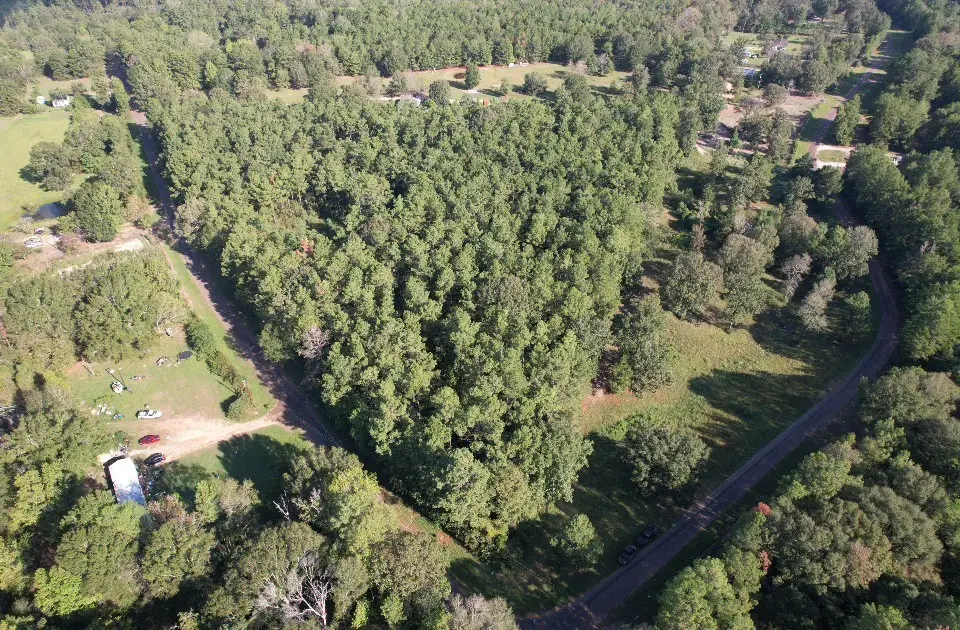 TBD Cr 432, No City, TX 75954 - #1