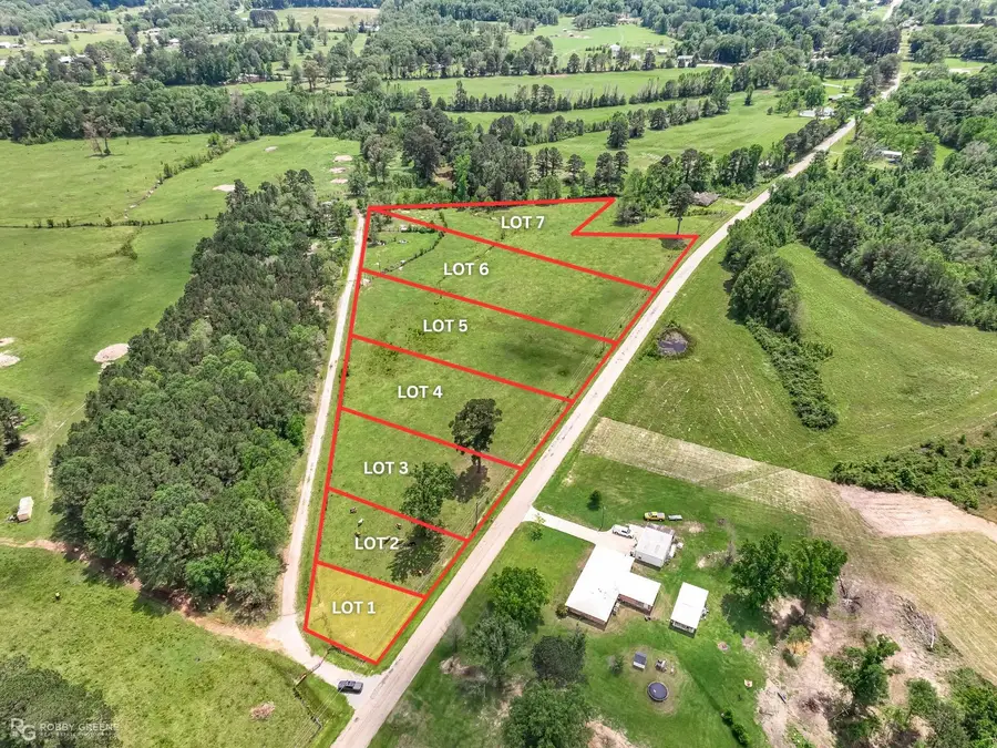 03 Percy Burns Road, Springhill, LA 71075 - #2