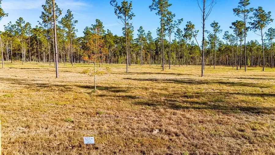 20 Big Buck Drive, Moscow, TX 75960 - #3
