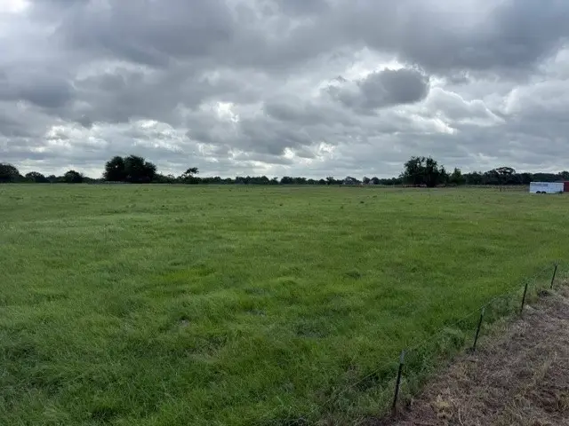 479 Vz County Road 1504, Van, TX 75790 - #2