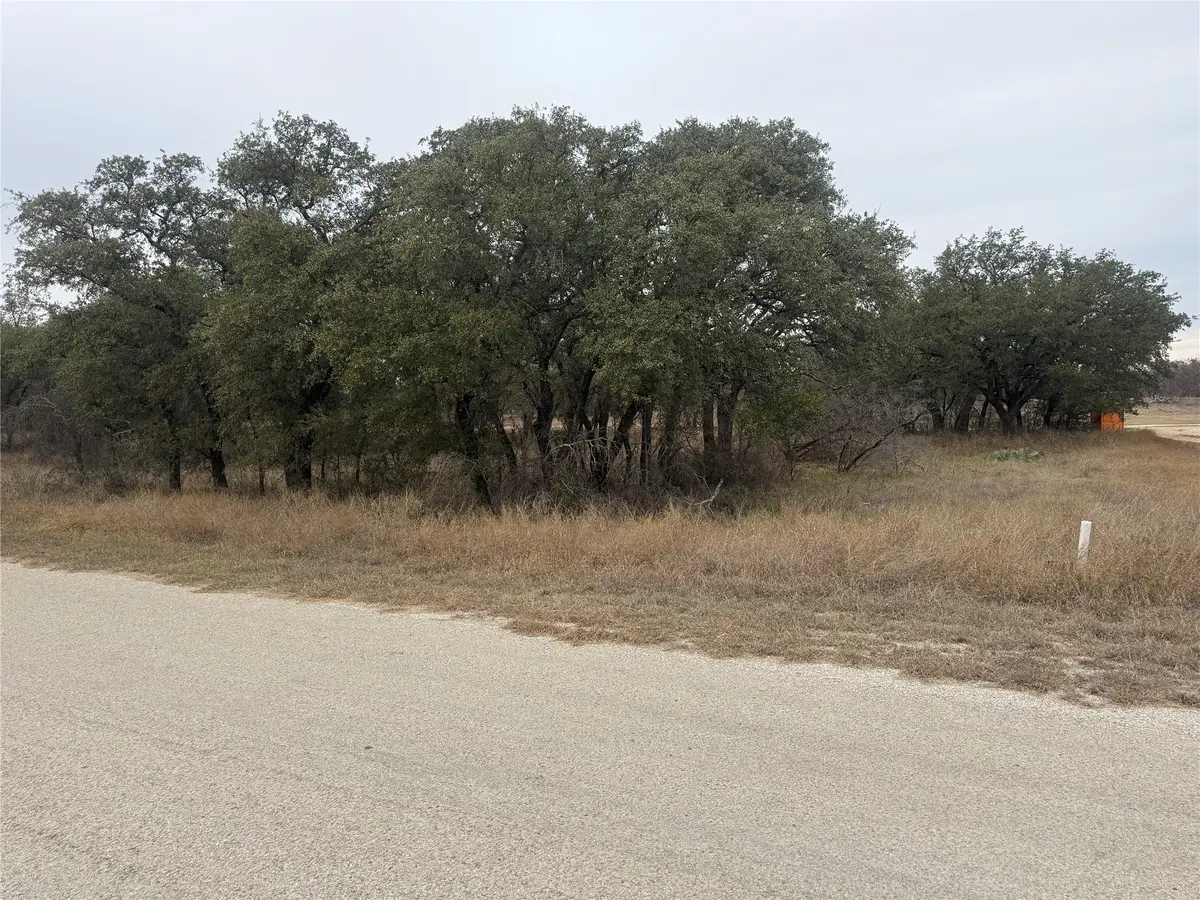 TBD 941 Feather Bsy Drive, Brownwood, TX 76801 - #1