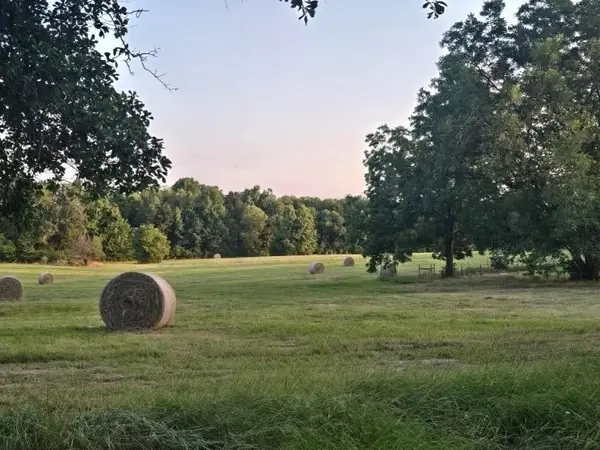 20086 County Road 299, Arp, TX 75750