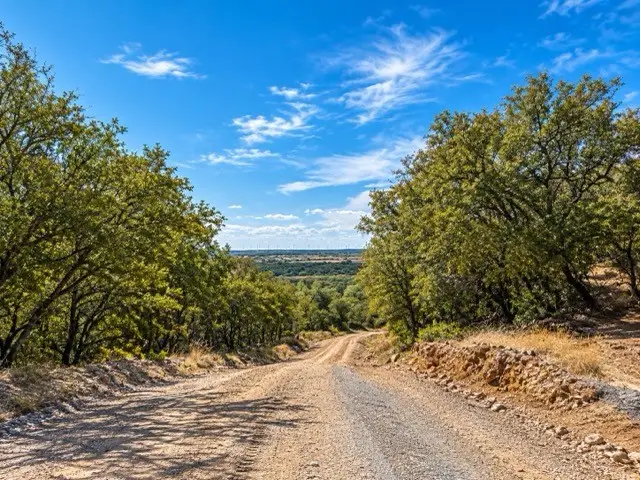 0 Gresham Ln, Jacksboro, TX 76458 - #3