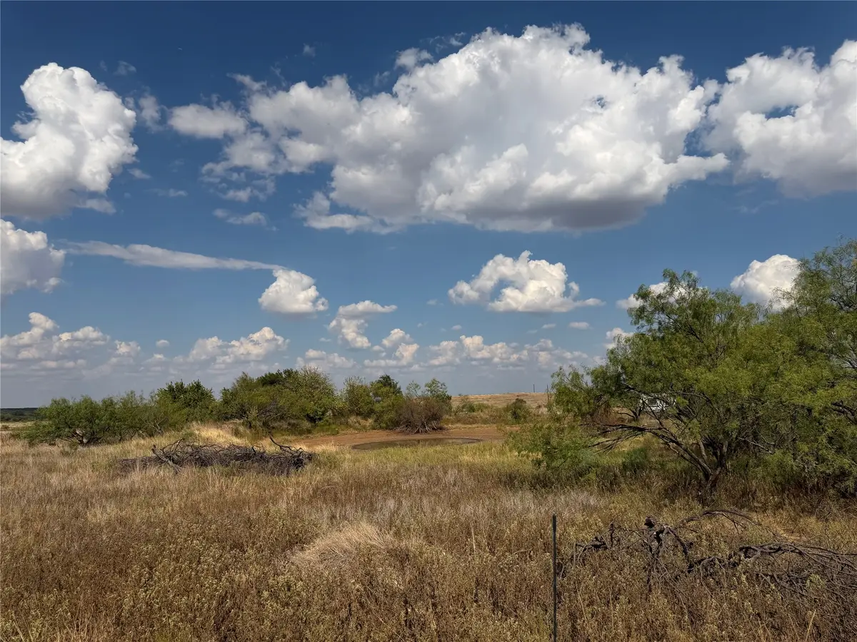 1796 Browning Road, Bellevue, TX 76228 - #1