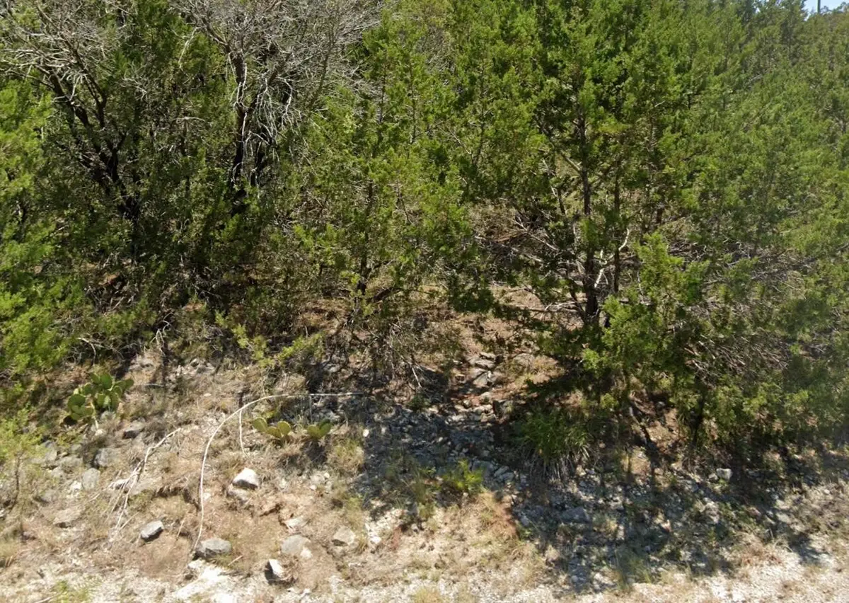 4705 Evening View Drive, Granbury, TX 76048 - #1