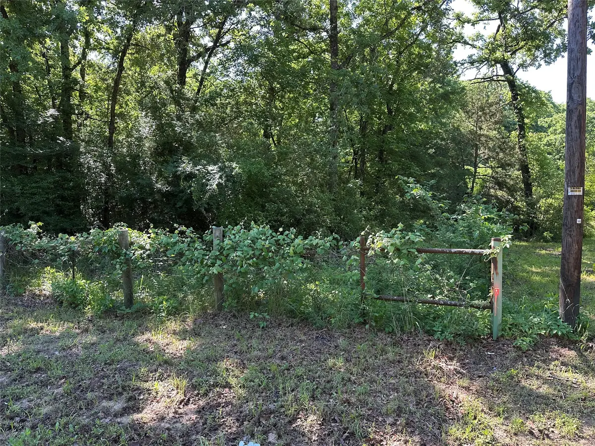 TBD Lcr 403, Groesbeck, TX 76667 - #1