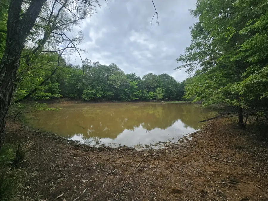 TBD-C County Road 45400, Paris, TX 75462 - #3