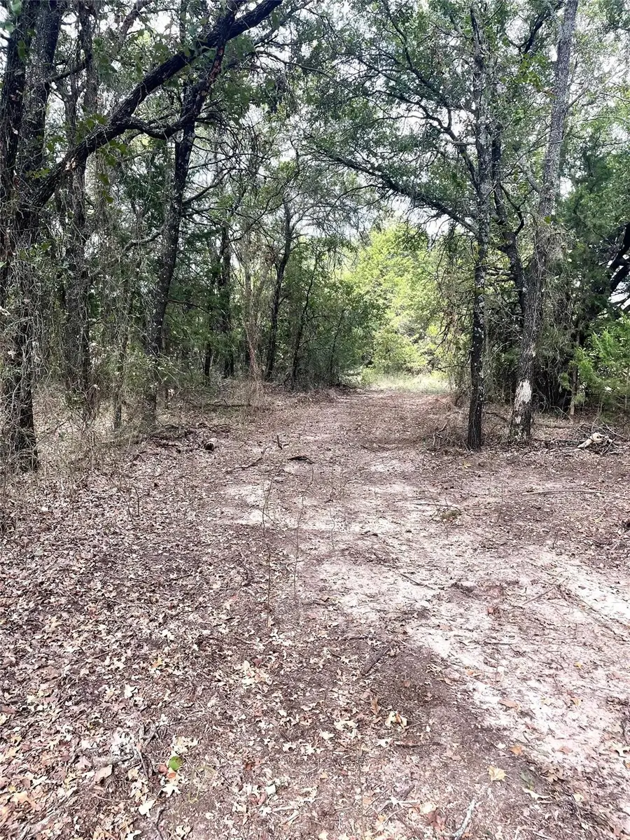 334 Greanead Road, Forestburg, TX 76239 - #3