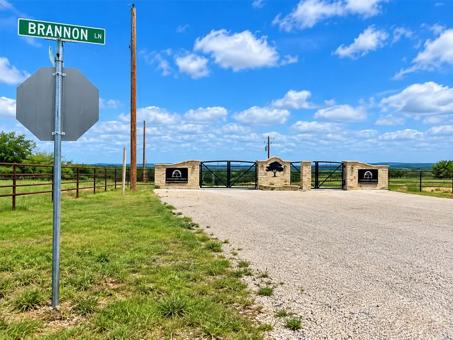 TBD Paradise Oaks, Palo Pinto, TX 76486 - #3