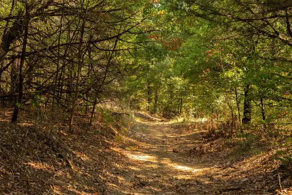 4 Acres Tipps Lane, Whitesboro, TX 76273