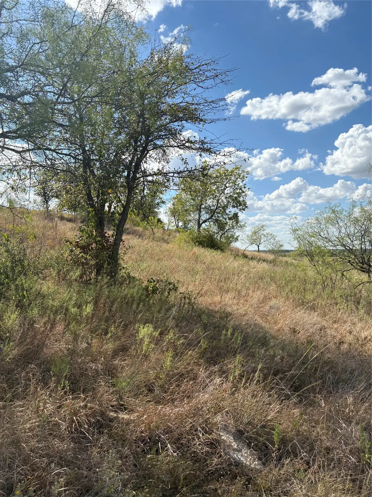 19 Parks Medow Dr., Gustine, TX 76455 - #1