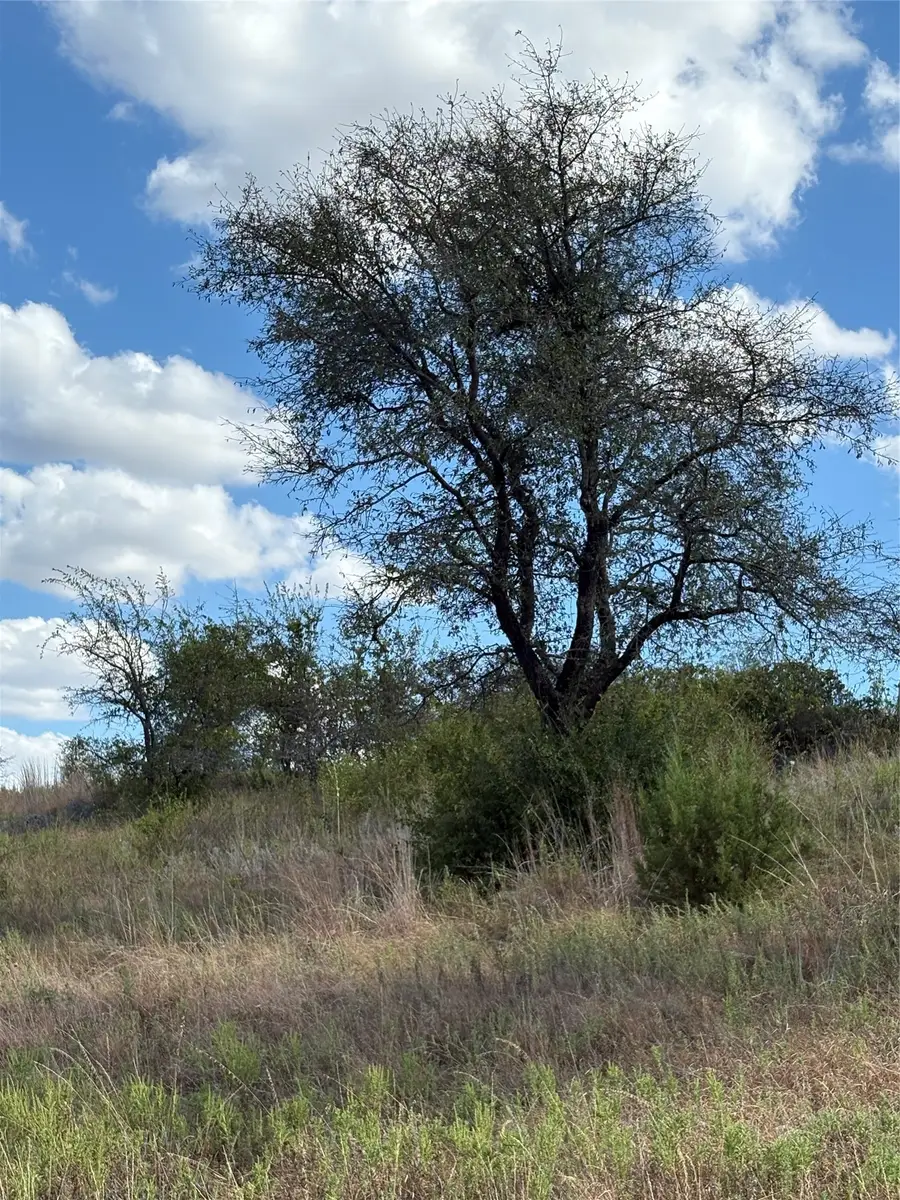 19 Parks Medow Dr., Gustine, TX 76455 - #2