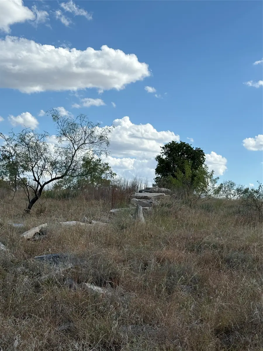 19 Parks Medow Dr., Gustine, TX 76455 - #3