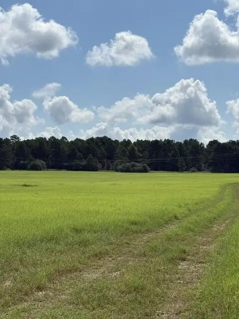 0 An Cnounty Road 1231, Palestine, TX 75801
