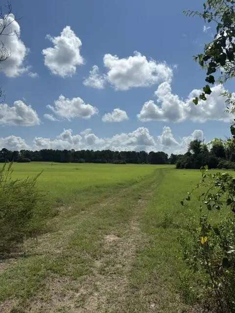 0 An Cnounty Road 1231, Palestine, TX 75801 - #2