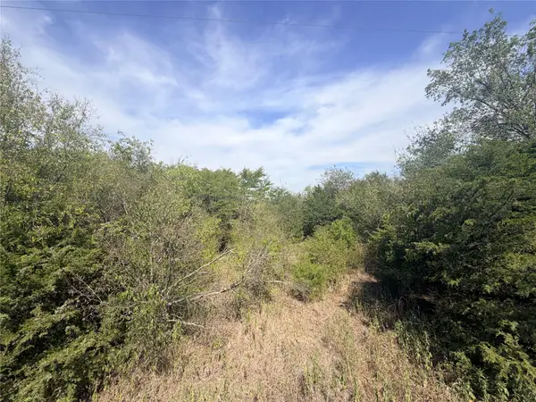 TBD Cr 3824, Wills Point, TX 75160