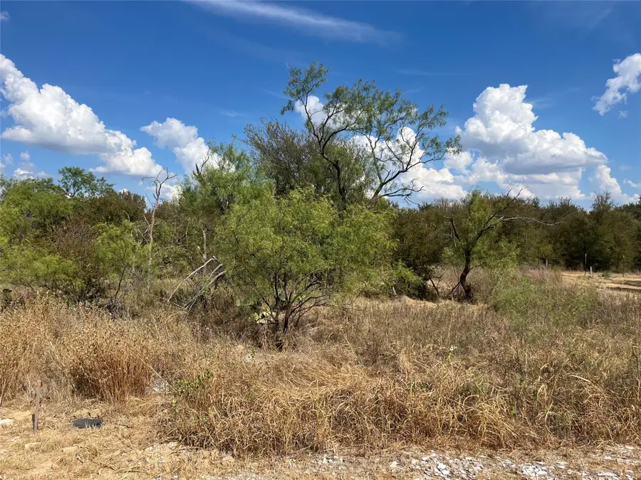 Lot 65 Blk 7 Ringo Court, Runaway Bay, TX 76426 - #2