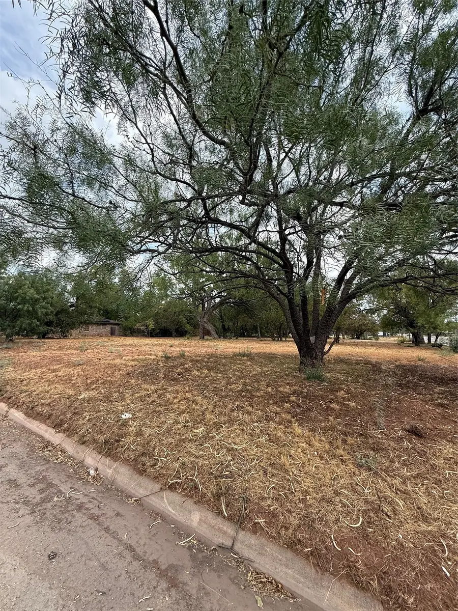 2332 N 3rd Street, Abilene, TX 79603 - #2
