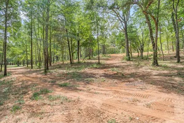516 Willingham Road, Whitehouse, TX 75791