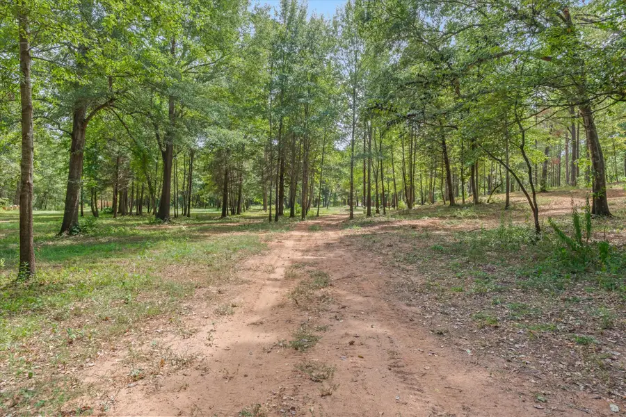 516 Willingham Road, Whitehouse, TX 75791 - #2