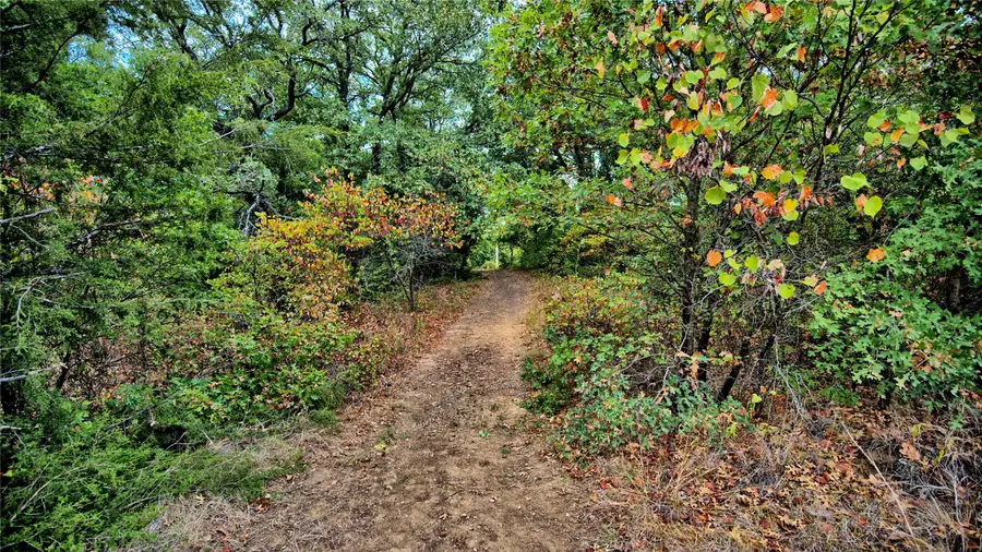 7111 Starkey Road, Saint Jo, TX 76265 - #2