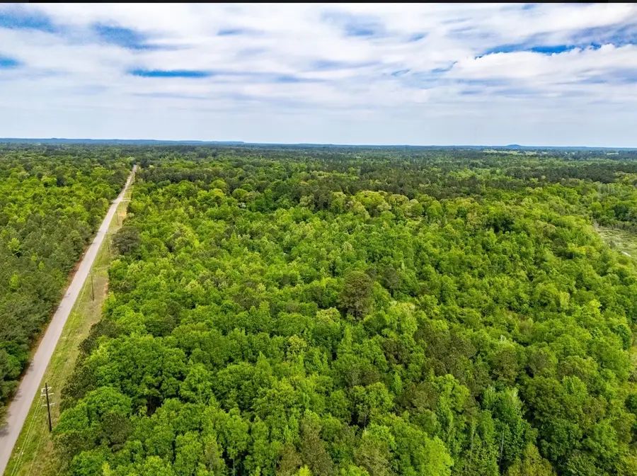 TBD White Oak Road, Gladewater, TX 78413 - #3