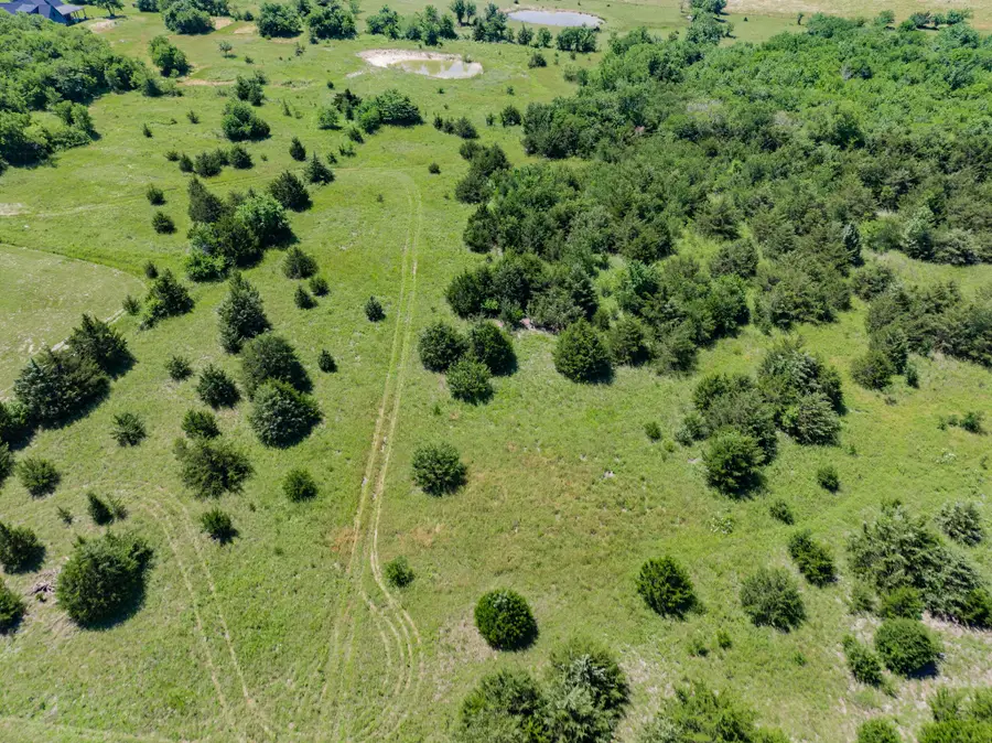 TBD Fm 36, Greenville, TX 75401 - #3
