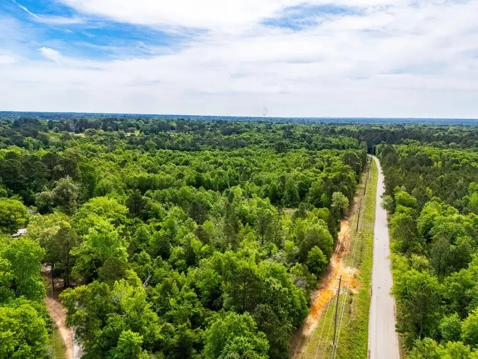 TBD White Oak Rd, Gladewater, TX 75647 - #1