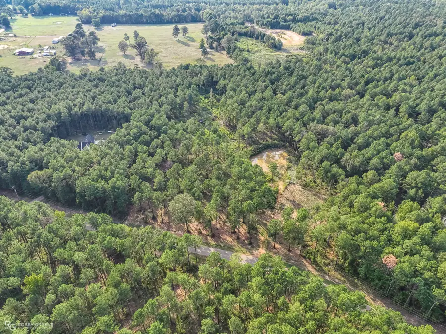 491 Cotton Valley Road, Haughton, LA 71037 - #3
