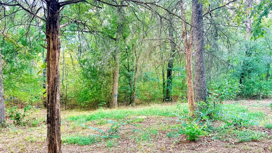 136 Bent Tree Circle, Eustace, TX 75124 - #3