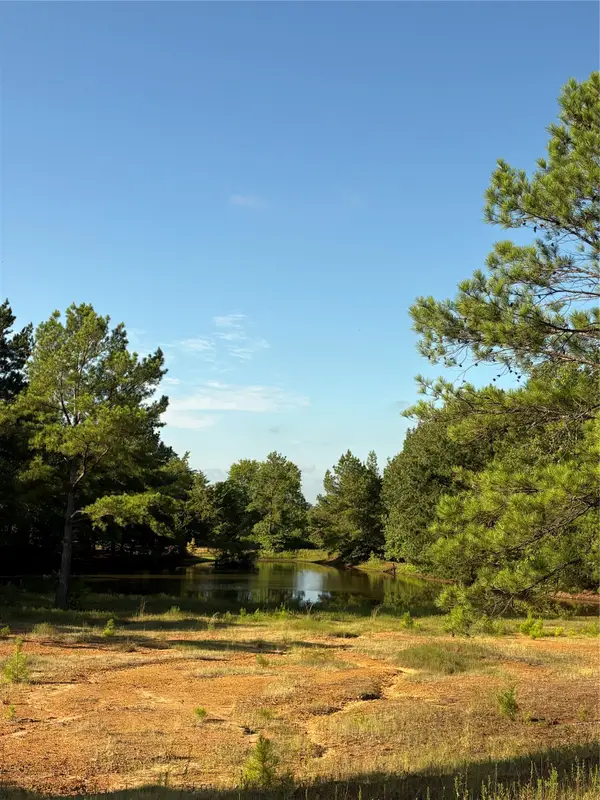 8965 N Us Hwy 59, Woodlawn, TX 75670