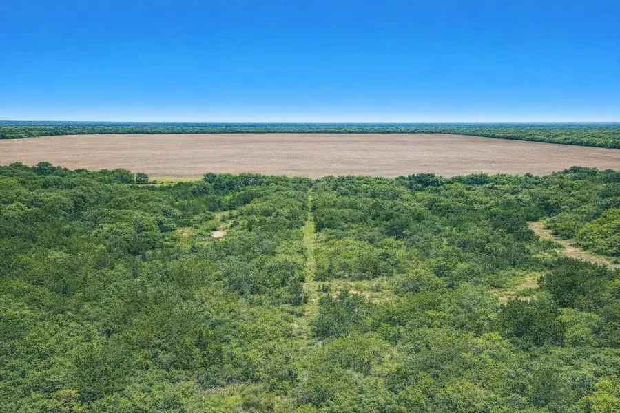 0 County Road #136, Hamlin, TX 79520 - #2