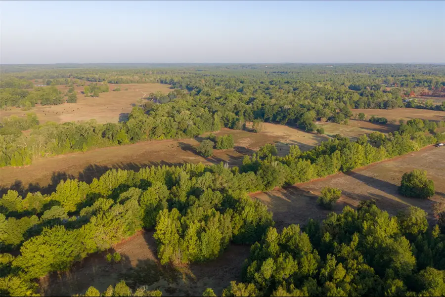 00 Cr 1002 N, Winnsboro, TX 75494 - #2